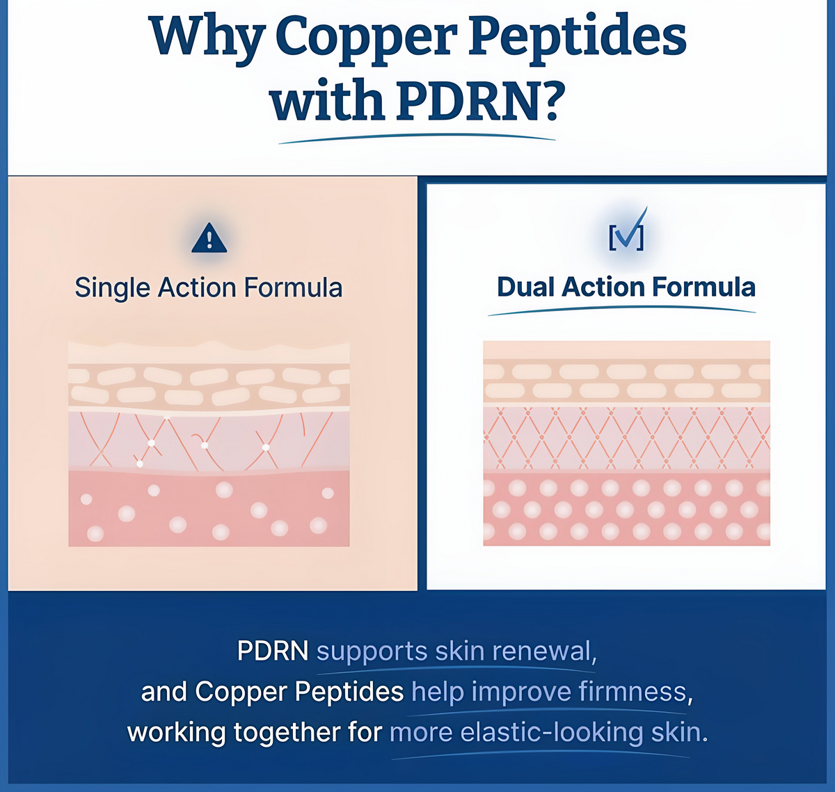 VOLURÉE PDRN + Copper Peptide Serum